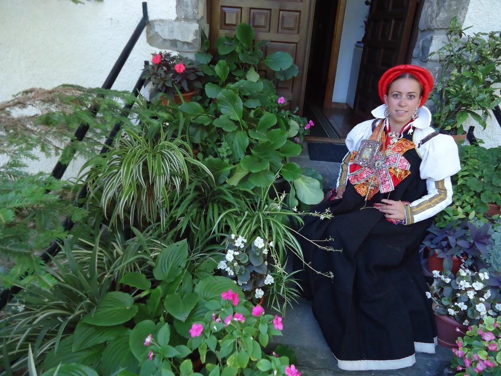 منزل الضيف Ansó  في Casa Ursula المظهر الخارجي الصورة